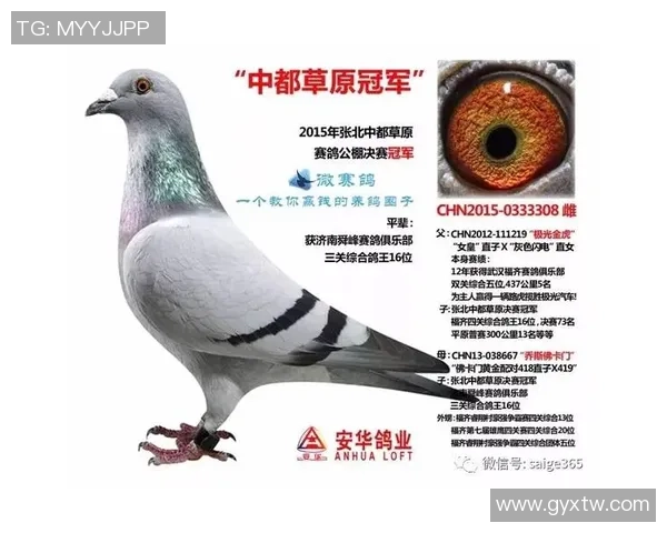 足球明星身价对比搞笑图解读谁才是真正的财富之王 足球明星身价对比搞笑图解读谁才是真正的财富之王