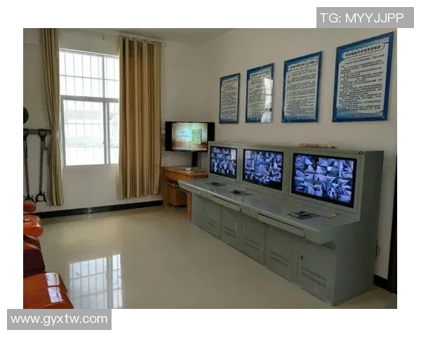 女足球明星的偶像之路：从梦想起航到全球舞台的辉煌成就